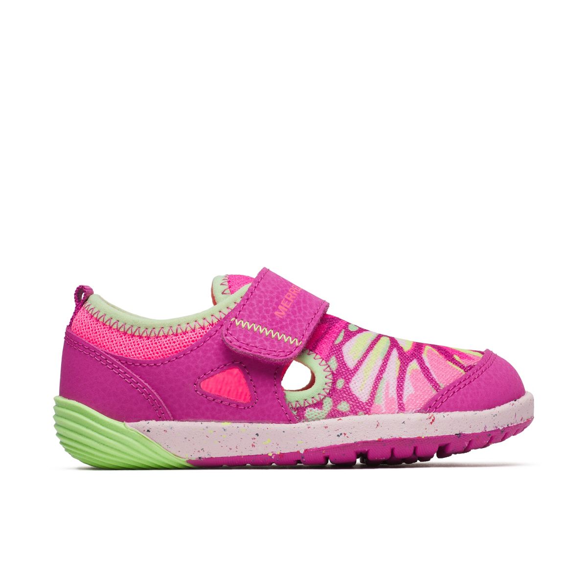 Butterfly,11